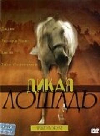 Дикая лошадь (фильм 1998)