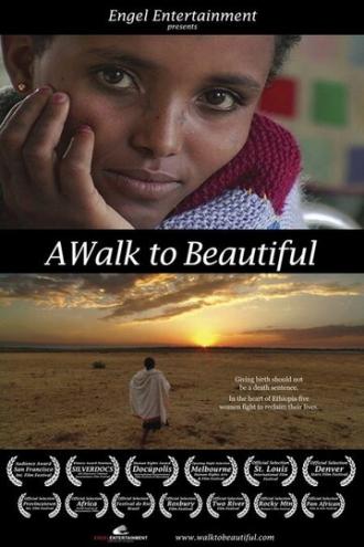 A Walk to Beautiful (фильм 2007)