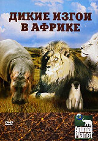 Animal Planet: Дикие изгои в Африке (фильм 2006)