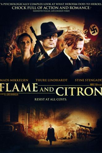 Пламя и Цитрон (фильм 2008)