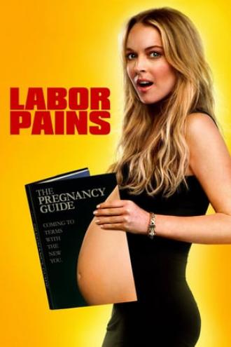 Временно беременна (фильм 2009)