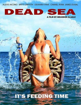 Мёртвое море (фильм 2014)