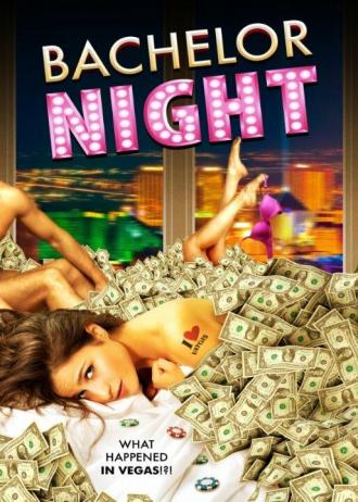 Bachelor Night (фильм 2014)