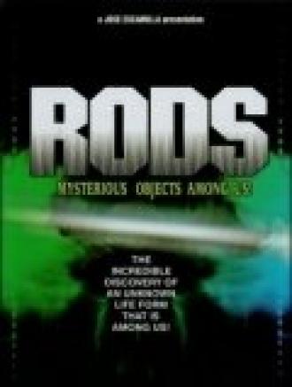 RODS: Mysterious Objects Among Us!