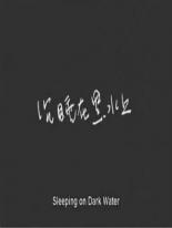 Сон на тёмных водах (2008)