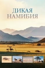 Дикая Намибия (2013)