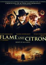 Пламя и Цитрон (2008)