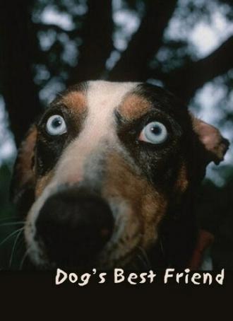 Лучший друг собак (фильм 1997)
