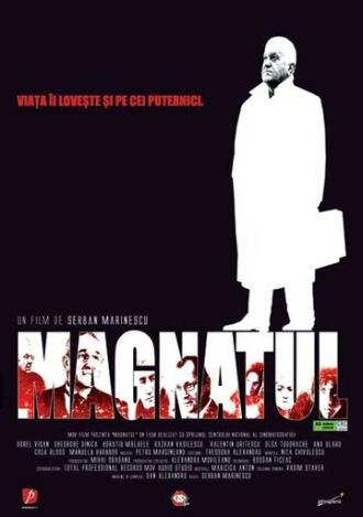 Magnatul (фильм 2004)