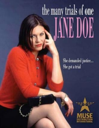 The Many Trials of One Jane Doe (фильм 2002)