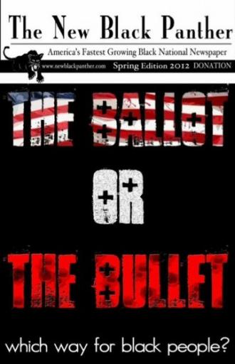 The Ballot or the Bullet (фильм 2012)