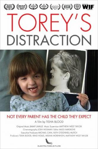 Torey's Distraction (фильм 2009)