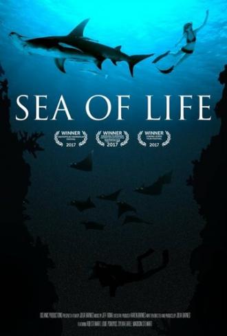 Море жизни (фильм 2017)