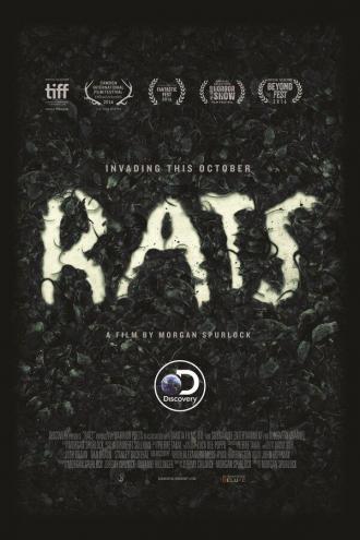 Крысы (фильм 2016)