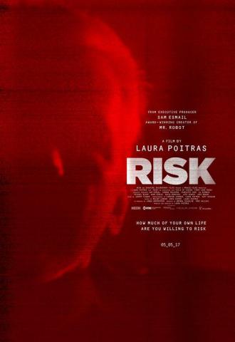 Риск (фильм 2016)