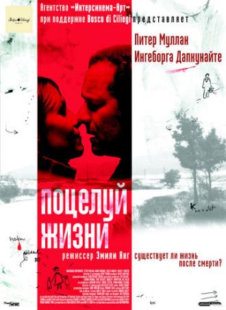 Поцелуй жизни (фильм 2003)