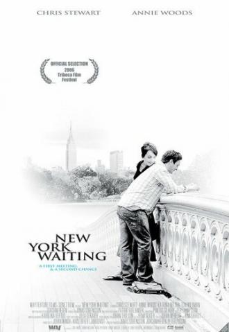 Нью-Йоркское ожидание (фильм 2006)