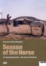 Время коня 2005