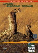 Animal Planet: Лучшие животные-папаши (2004)