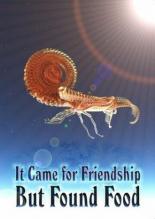It Came for Friendship But Found Food (2010)