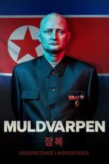 The Mole: Undercover in North Korea (2020)