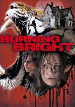 Во власти тигра (2010)