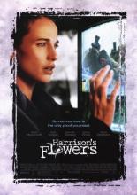Спасти Хэррисона (2000)