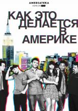 Как добиться успеха в Америке  (2010)