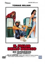 Сын шейха 1978