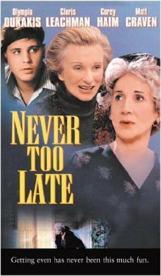 Никогда не поздно (фильм 1996)
