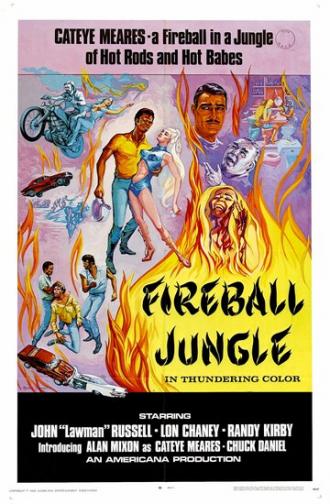 Fireball Jungle (фильм 1969)