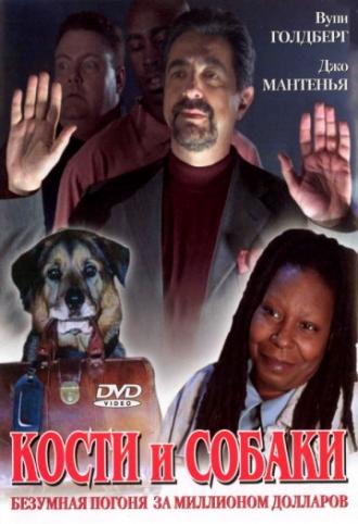 Кости и собаки (фильм 2000)