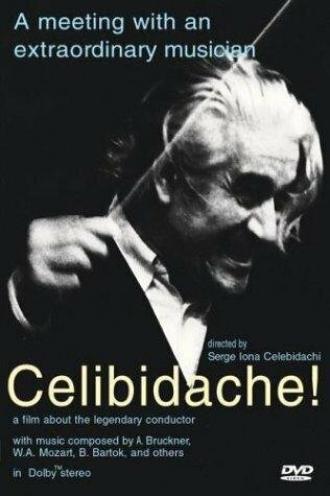 Celibidache (фильм 1992)