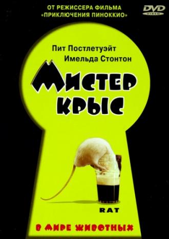 Мистер крыс (фильм 2000)