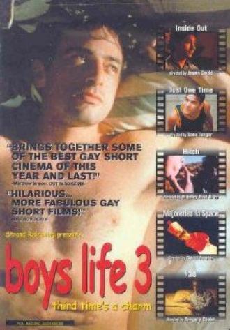 Жизнь парней 3 (фильм 2000)