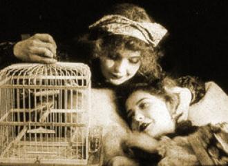 Барышня и мышка (фильм 1913)