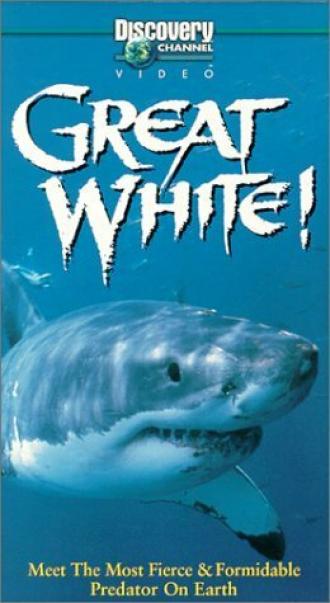 Great White (фильм 1998)