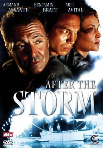 После шторма (фильм 2001)