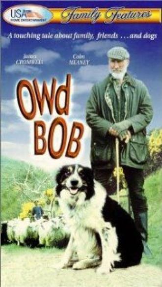 Старина Боб (фильм 1998)