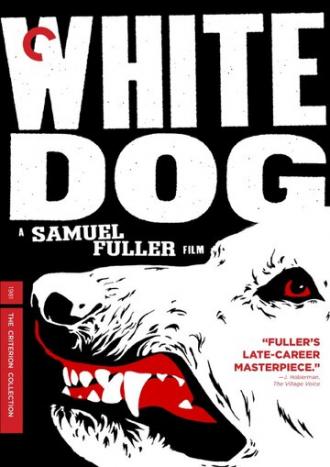 Белая собака (фильм 1982)