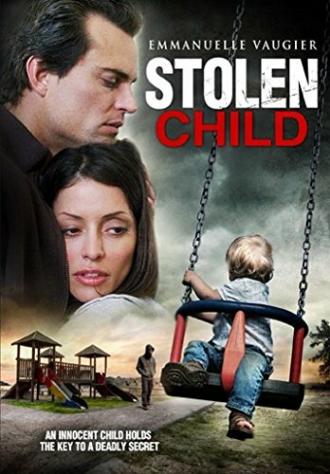 Похищенный ребёнок (фильм 2012)