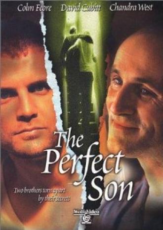 Идеальный сын (фильм 2000)