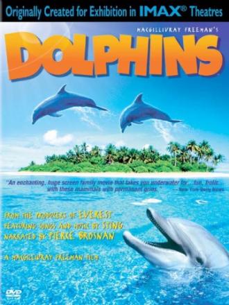 Дельфины (фильм 2000)