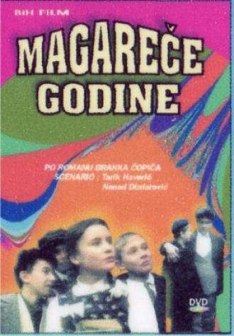 Magarece godine (фильм 1994)
