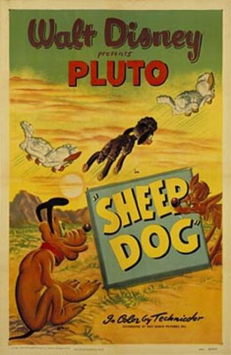 Sheep Dog (фильм 1949)