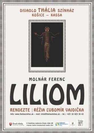 Liliom (фильм 2014)