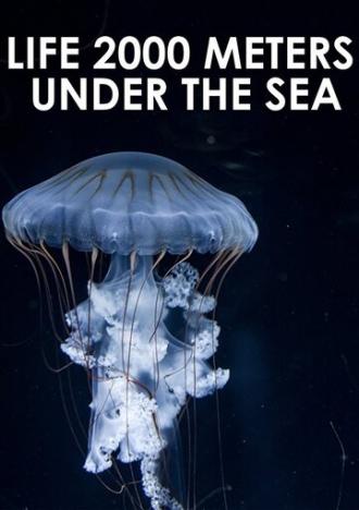 Жизнь на глубине 2000 метров (фильм 2014)