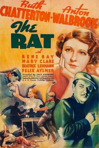 Крыса (фильм 1937)