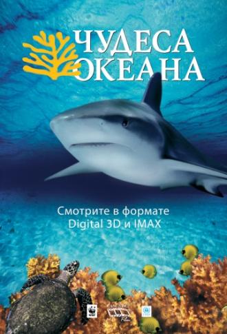 Чудеса океана 3D (фильм 2003)