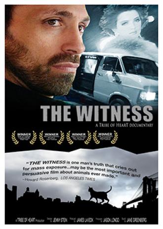 Свидетель (фильм 2000)